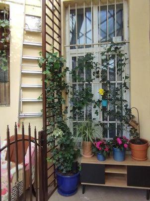 Miodowa Kazimierz Apartment Краков Экстерьер фото