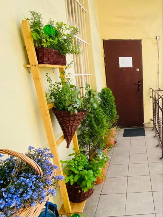 Miodowa Kazimierz Apartment Краков Экстерьер фото